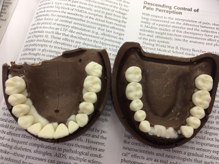 Illustration for article titled Looks like I broke some teeth
